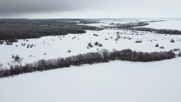 Nieve - campos cubiertos. naturaleza cubierta de nieve desde el aire — Vídeos de Stock