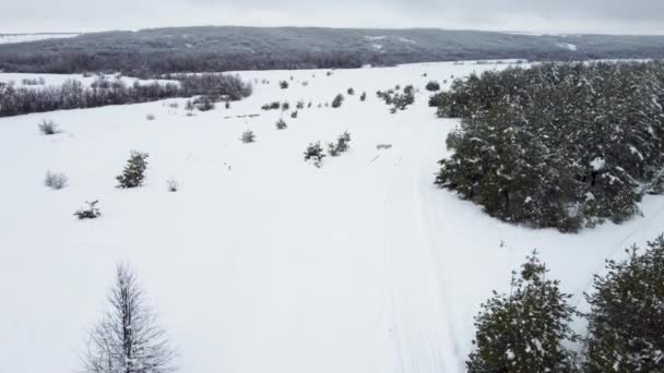 Schnee - bedeckte Felder. Schnee bedeckte Natur aus der Luft — Stockvideo