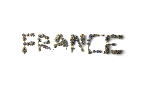 La palabra francia de ramas de lavanda sobre un fondo blanco —  Fotos de Stock