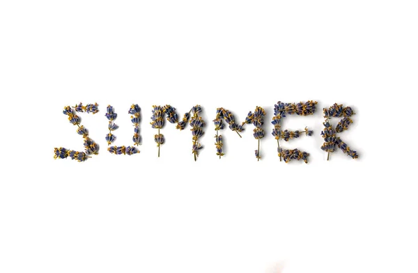 Η λέξη καλοκαίρι από κλαδιά λεβάντας σε λευκό φόντο — Φωτογραφία Αρχείου