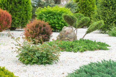 Parktaki evdeki güzel çiçek tarhı