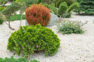Parktaki evdeki güzel çiçek tarhı