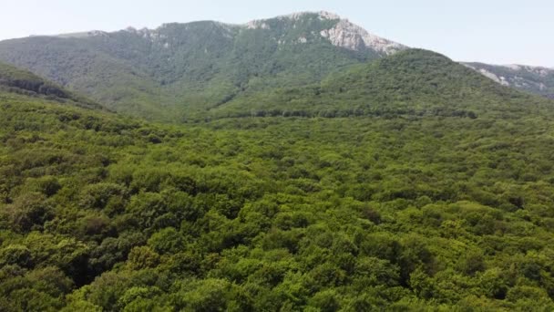 Góry w zieleni widok z powietrza. — Wideo stockowe