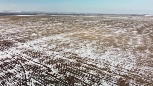 Vista de campo coberta de neve de uma altura — Vídeo de Stock