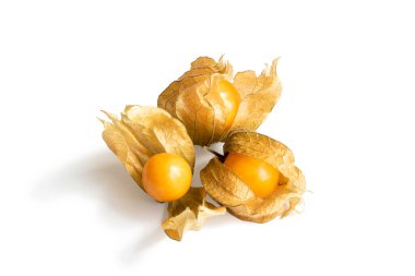 Beyaz arka planda izole edilmiş bir grup bitki üzümü. Üç portakal suyu meyvesi farklı şekillerde açılıp kapanır. 