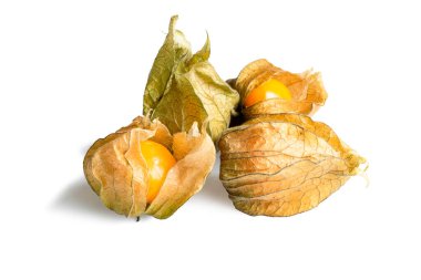 Beyaz arkaplanda izole edilmiş bitki salgısı grubu 