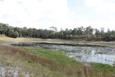 Keystone Heights Florida Clay County 'deki Mike Roess Gold Head Eyalet Parkı' nda bulunan göl