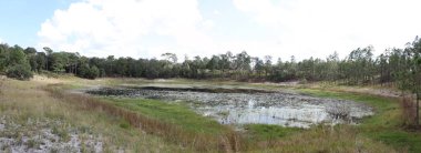 Keystone Heights Florida Clay County 'deki Mike Roess Gold Head Eyalet Parkı' nda bulunan göl