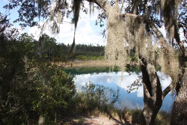 マイクロスゴールドヘッドブランチ州立公園に位置する湖キーストーンハイツフロリダクレイ郡 — ストック写真