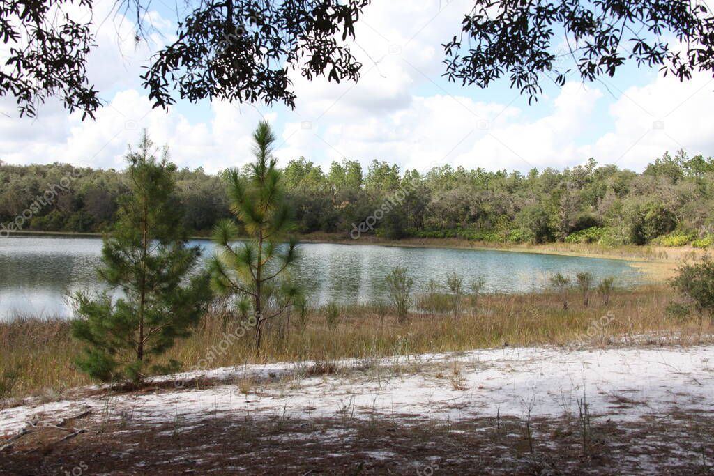 Lake located in Mike Roess Gold Head Branch State Park in Keystone Heights Florida Clay County