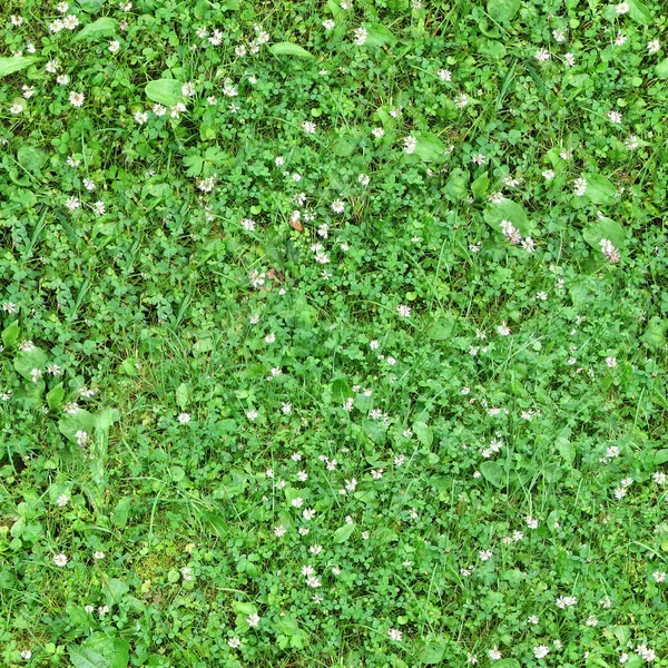 Бесшовный зеленый фон — стоковое фото