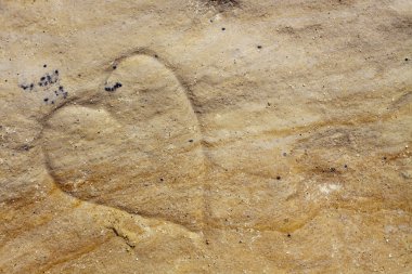 kalbi taş üzerine basık