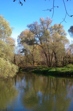 Güneşli bir sonbahar gününde sessiz bir nehir.
