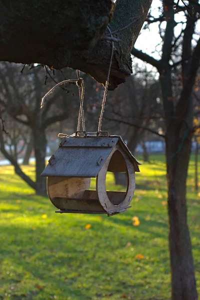 Alimentador Aves Forma Uma Casa Árvore — Fotografia de Stock