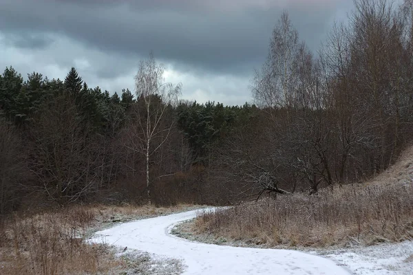 Novemberlandschaft Einem Waldparkgebiet Stadtrand — Stockfoto