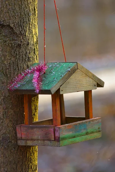 Bemalte Hölzerne Vogelfutterstelle Auf Einem Baumstamm — Stockfoto