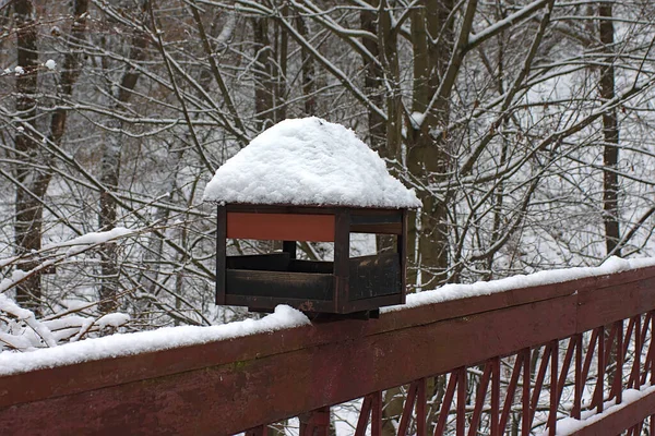 木桥栏杆上的喂鸟器 — 图库照片
