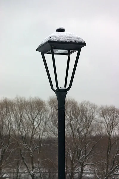 Kış Ağaçlarının Arka Planında Yeni Bir Sokak Lambası — Stok fotoğraf