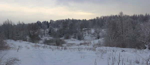 Een Winterlandschap Aan Rand Van Stad — Stockfoto
