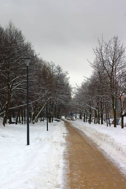 Kar yağdıktan sonra yol temizlendi.