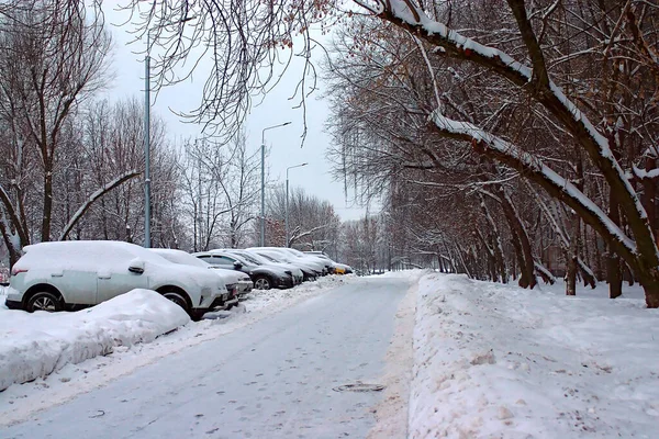 Carso Recouvert Neige Sur Paring Hiver — Photo