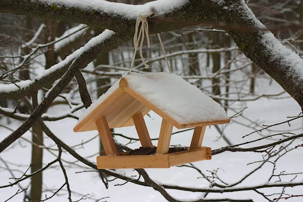 Dřevěný Podavač Podobě Domku Stromě Zimním Parku — Stock fotografie