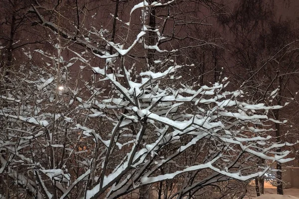 Snöig Tidig Morgon Nära Huset — Stockfoto