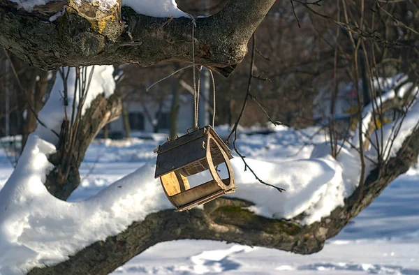 Trä Fågel Matare Ett Äppelträd Vintern — Stockfoto