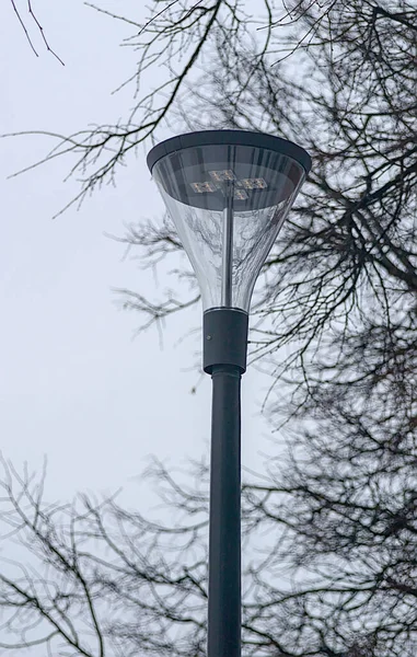 Modern Bir Sokak Lambası Ağacın Yanında — Stok fotoğraf