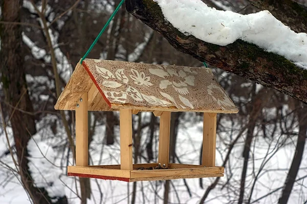 Kışın Ağaçta Beslenen Tahta Kuş — Stok fotoğraf