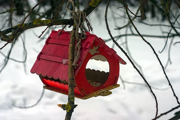 Trä Fågel Matare Ett Träd Vintern — Stockfoto