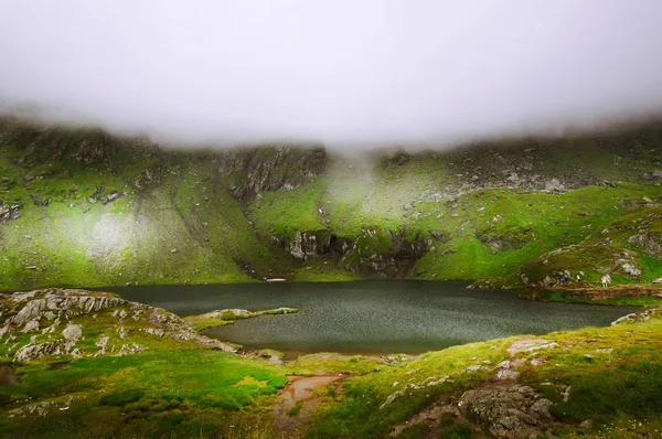 Otroliga landskap med dimmiga bergen — Stockfoto