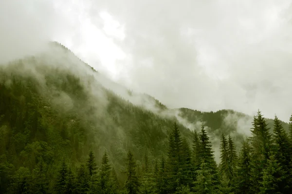 Paysage incroyable avec des montagnes brumeuses — Photo