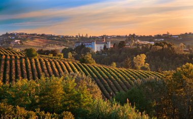 Costigliole d'asti (piedmont, İtalya): manzara