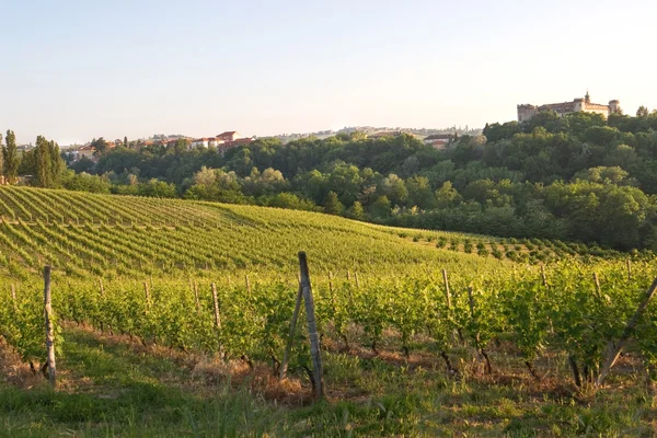 Costigliole d'Asti (Piedmont - Italy): landscape of vine and gra — Stock Photo, Image