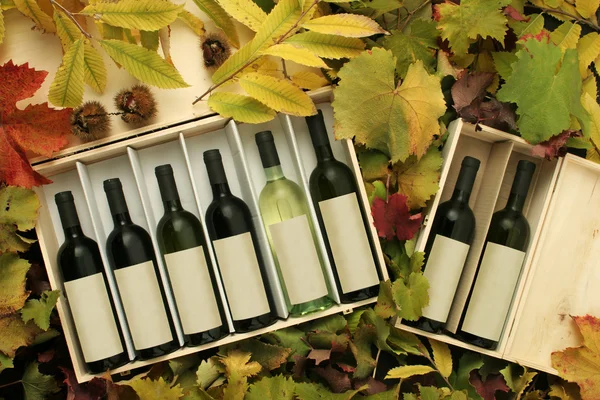 Två vin gåva lådor — Stockfoto