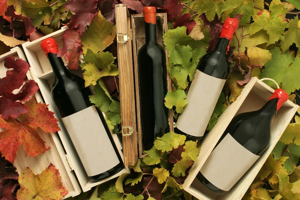 Fyra vin gåva lådor — Stockfoto