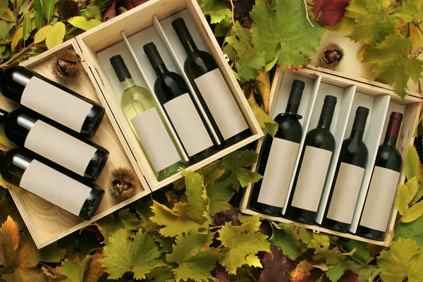 Két bor ajándék doboz — Stock Fotó