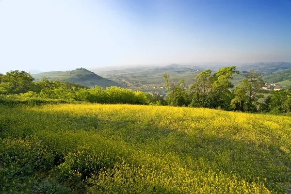Costigliole d 'Asti (Piedmont, Italy): landscape of hills. — Stock Photo, Image