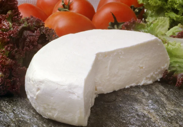 Fresh cheese with tomatoes and salade — Stock Photo, Image