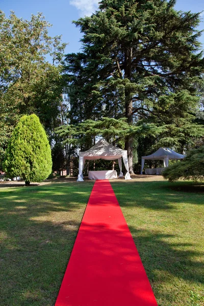 Czerwony dywan przed ślubem — Zdjęcie stockowe