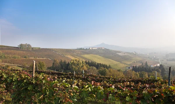 Costigliole d 'Asti (Piemonte, Itália): paisagem — Fotografia de Stock