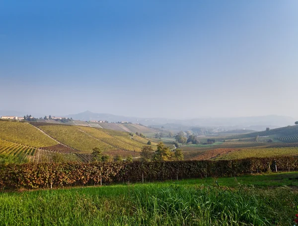 Costigliole d'asti (Piemontu, Włochy): krajobraz — Zdjęcie stockowe