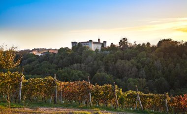 Costigliole d'asti (piedmont, İtalya): manzara