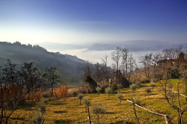 Italienische winterliche Landschaft (calosso bei asti, piemont, italien) — Stockfoto