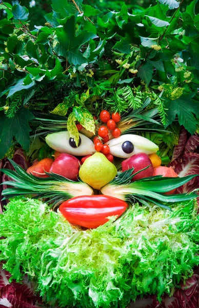 Human face of vegetables and fruits, in the manner of Arcimboldi — Stock Photo, Image