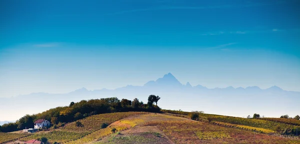 Astigiano, Piedmont, Italy: landscape — Stock Photo, Image