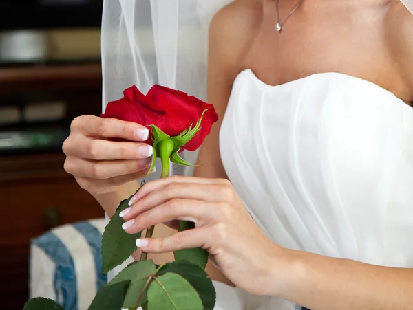 Novia con Rosa Roja — Foto de Stock