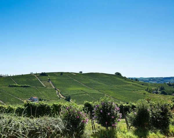 Astigiano, Piedmont, Italy: landscape — Stock Photo, Image