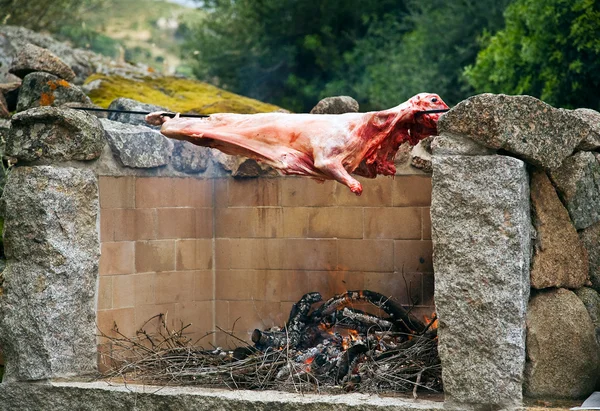 Sardunyalı Barbekü — Stok fotoğraf